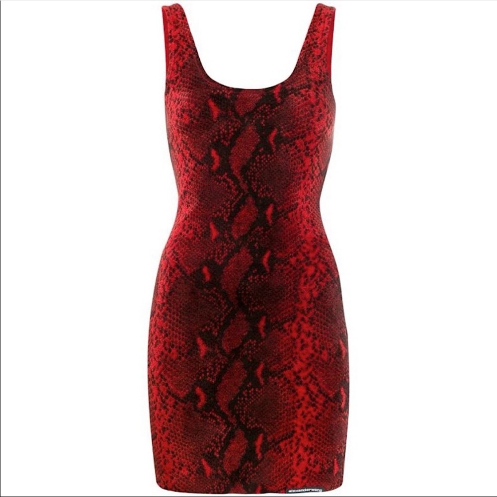 EUC ALEXANDER WANG Snakeskin Print Mini Dress In Red xs